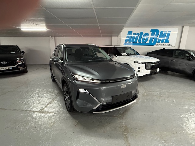Mandataire automobile 