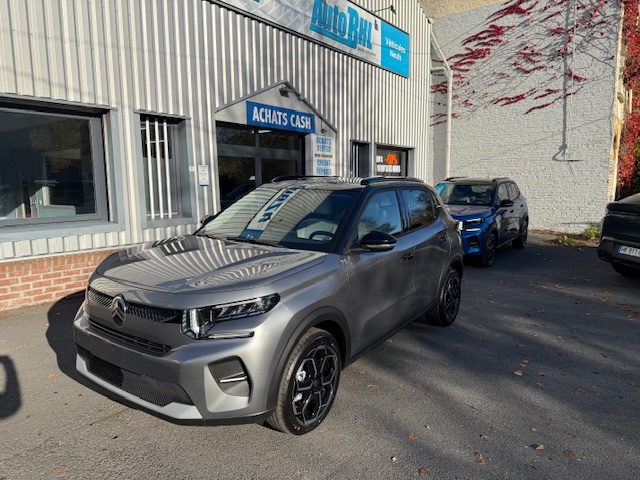 Mandataire automobile 