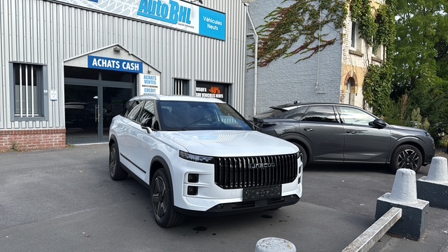 Mandataire automobile 